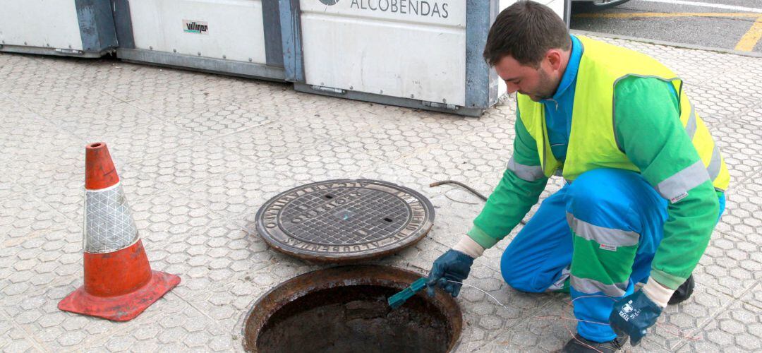 Suele colocarse un cebo para atraer a estos pequeños animales