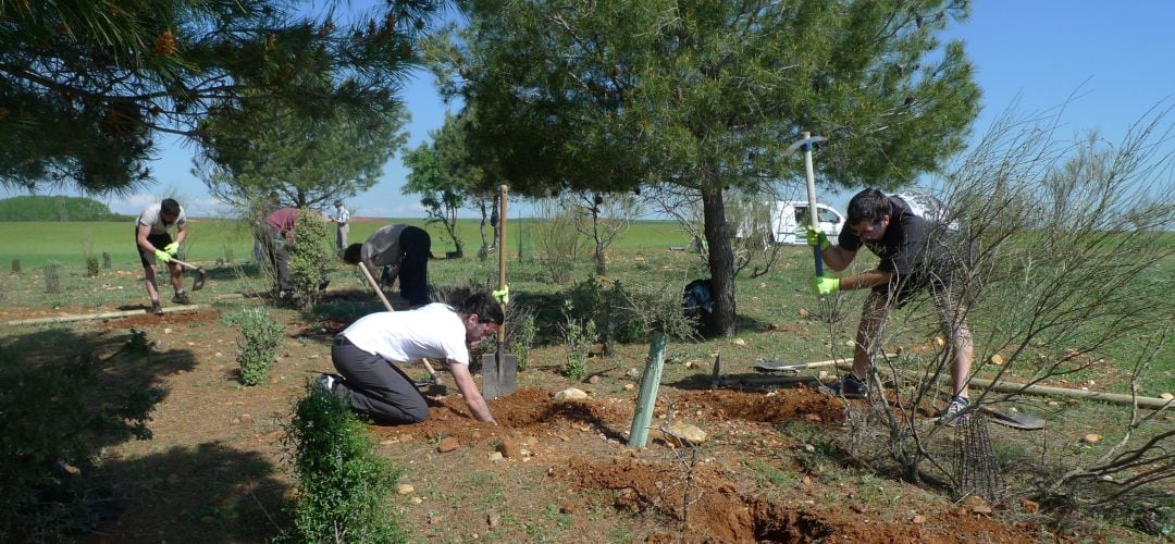 Voluntarios en una plantación en Navacerrada