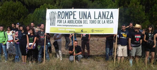 Unas 400 personas se han manifestado en Valladolid contra los festejos taurinos en Tordesillas que permitirán, el próximo martes 13 de septiembre, alancear al toro &#039;Afligido&#039; hasta darle muerte.