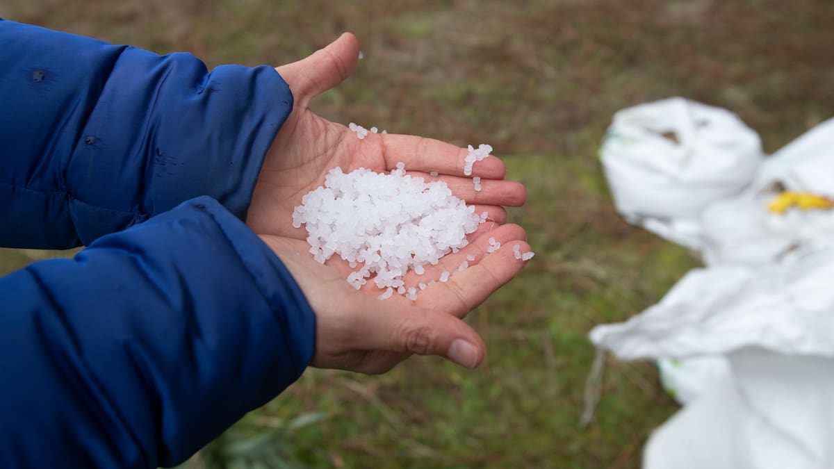 Economía circular para los pellets recogidos por los voluntarios