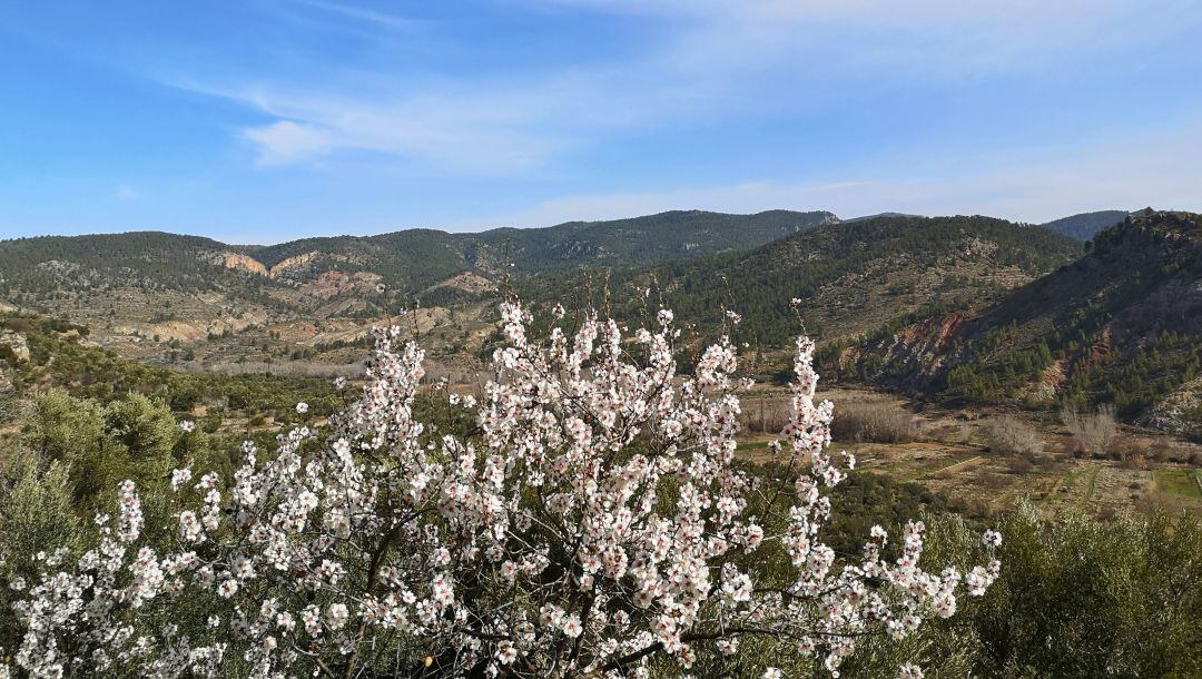 Paisaje en en el sendero del Agua en Santa Cruz de Moya (Cuenca).