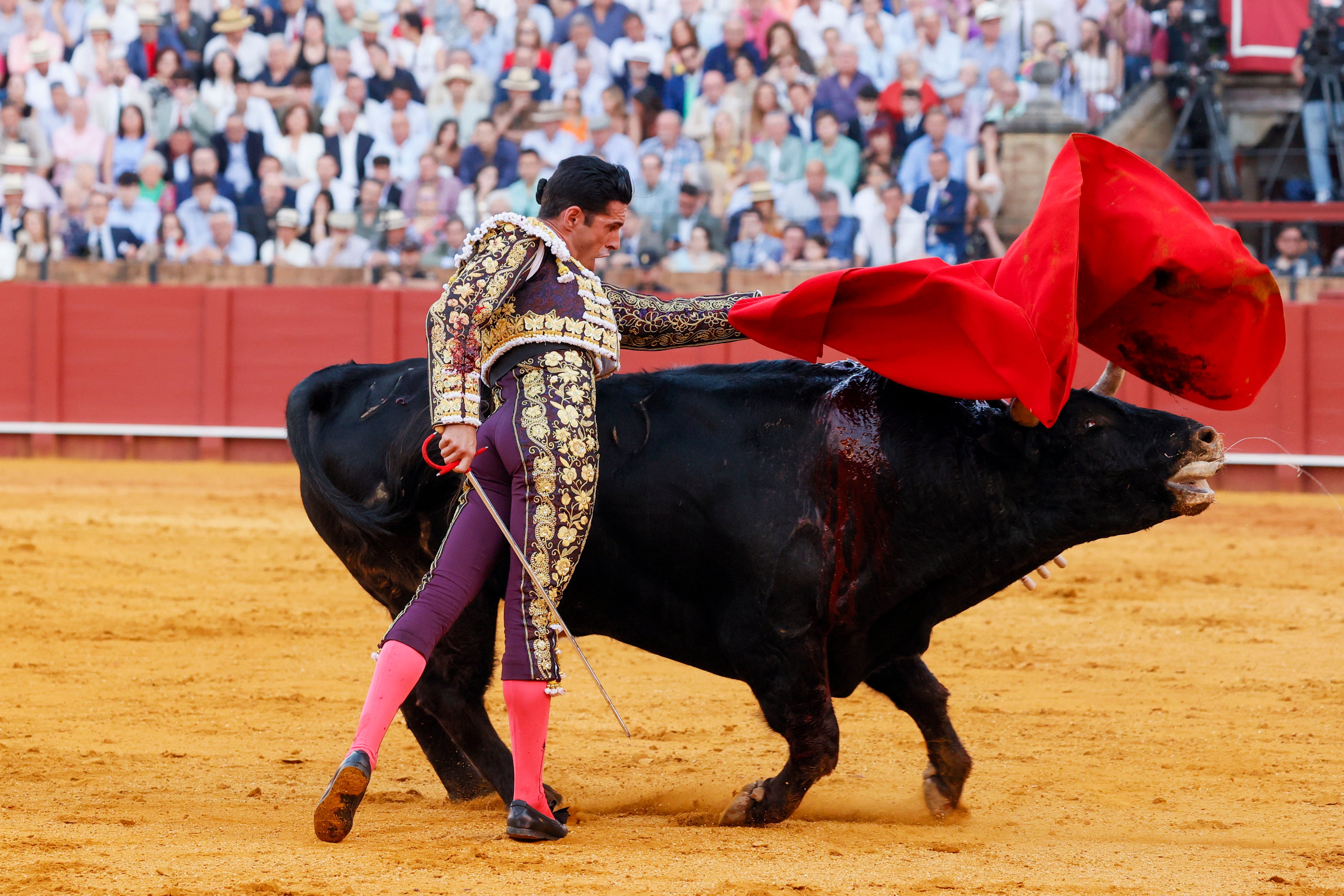 SEVILLA, 17/04/2024.- El diestro Tomás Rufo al quite del segundo de Talavante este miércoles, durante el festejo de la Feria de Abril celebrado en La Real Maestranza de Sevilla, con toros de Jandilla. EFE/ José Manuel Vidal
