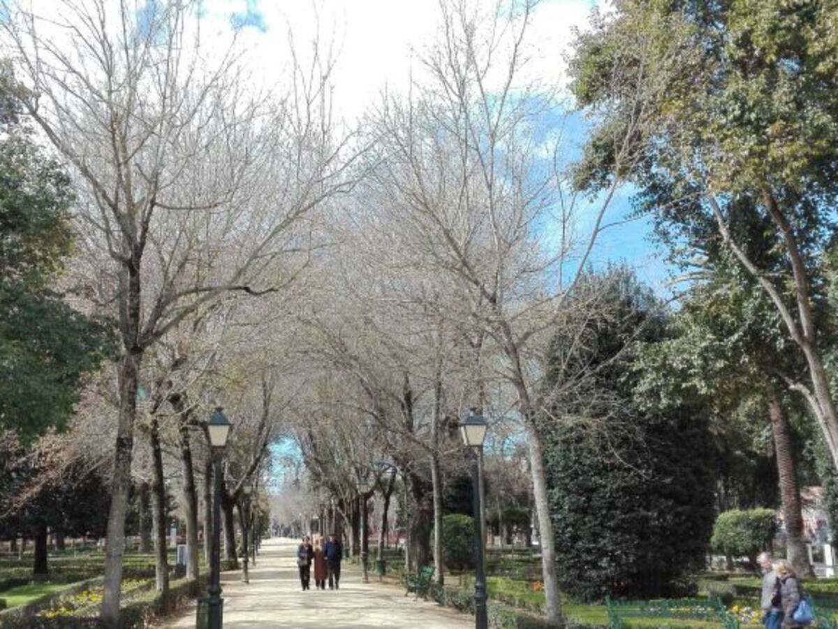 Sistema de Vigilancia para los Jardines del Prado