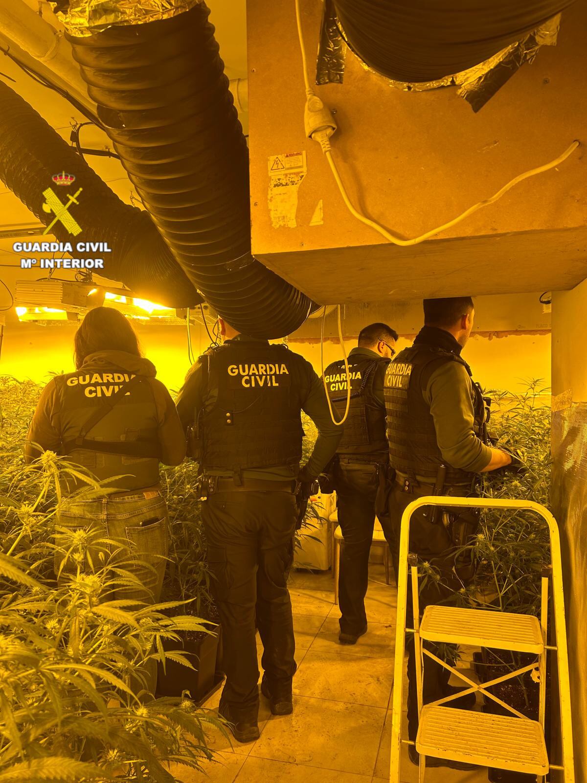 La Guardia Civil desmantela unaplantación “Indoor” de marihuana y
detiene a una persona en la localidad de
Peñíscola