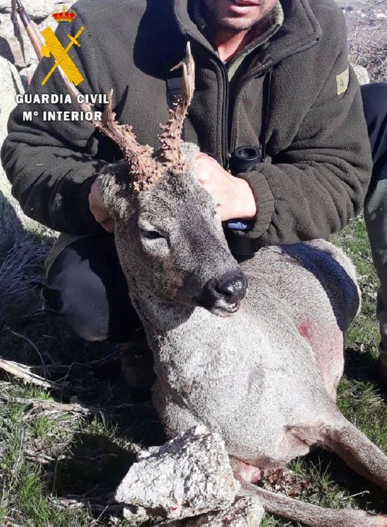 Imagen que el cazador colgó en redes sociales