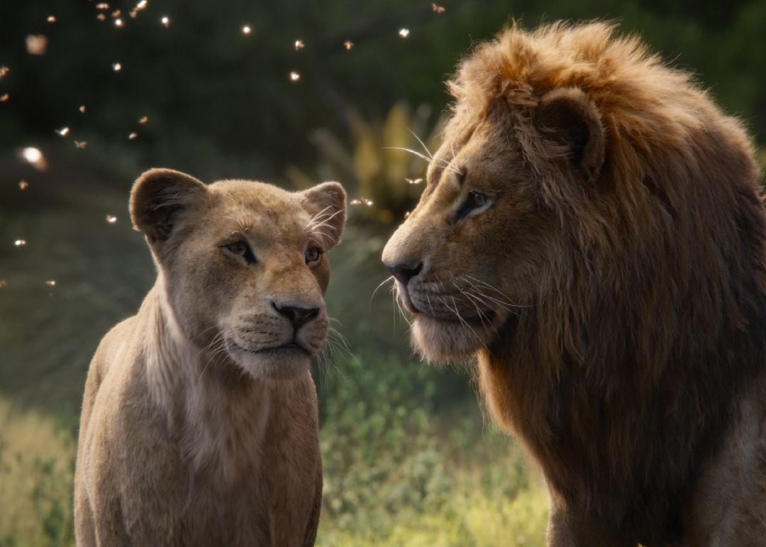 Imatge del film &#039;El rey león&#039; amb els seus protagonistes (horitzontal).