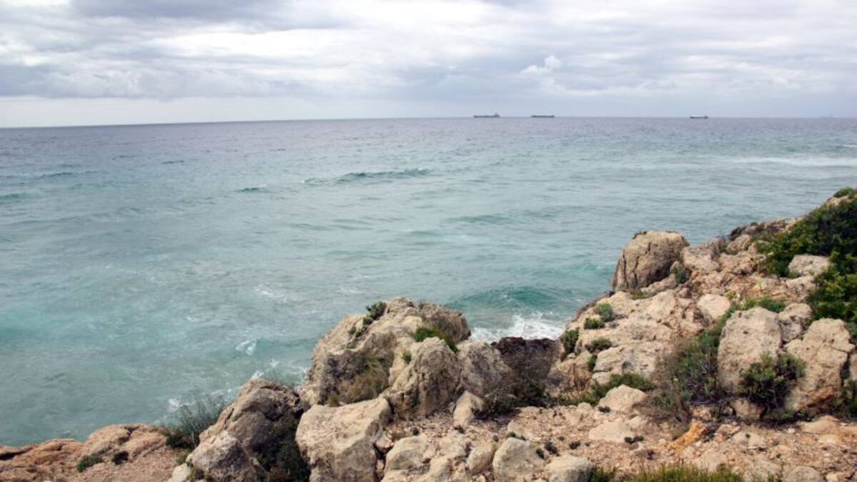 Mor la balena apareguda a Tarragona