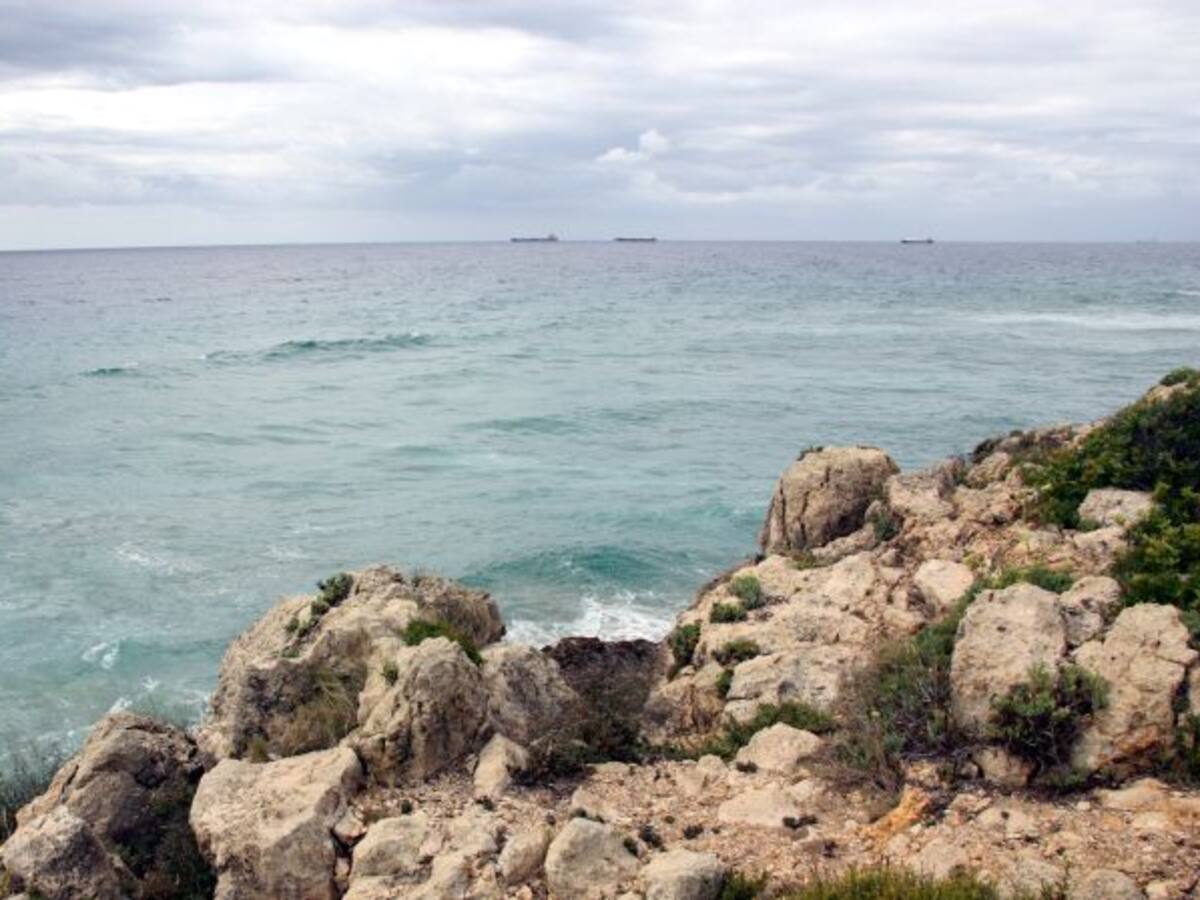 Mor la balena apareguda a Tarragona