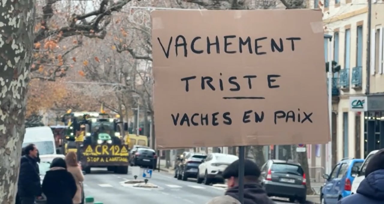 Protestes del ramaders francesos per la crisi de la dermatosi nodular contagiosa