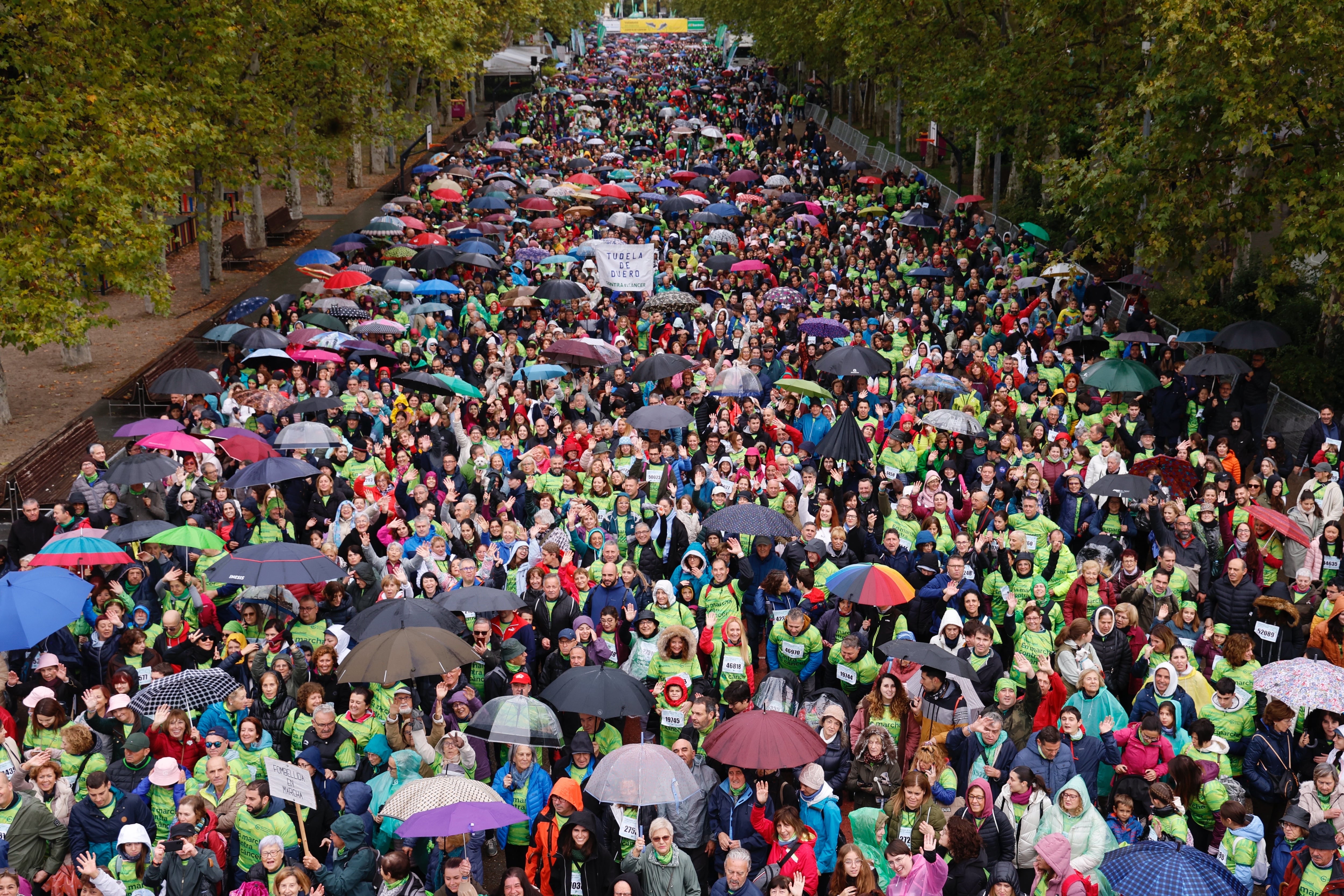 VALLADOLID, 27/10/2024.- Valladolid se ha vuelto a teñir este sábado de verde en la &#039;XIII Valladolid en marcha contra el cáncer&#039;, la carrera solidaria más importante de España y que en esta edición ha alcanzado 51.076 inscritos entre corredores y &#039;andarines&#039;, según datos de última hora de ayer, convertida en una de las más multitudinarias. EFE/ Nacho Gallego
