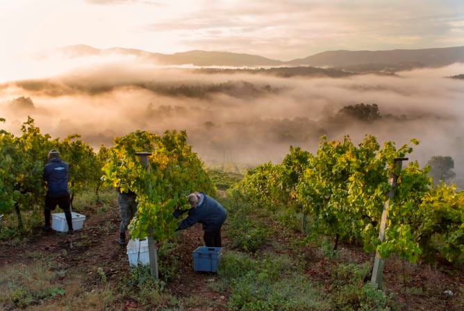 El libro &#039;Rias Baixas: el vino del mar&#039;, premio Gourmand al mejor libro gastronómico de Europa en 2013, complementa las imágenes de Xurxo Lobato con textos del gastrónomo Cristino Álvarez.