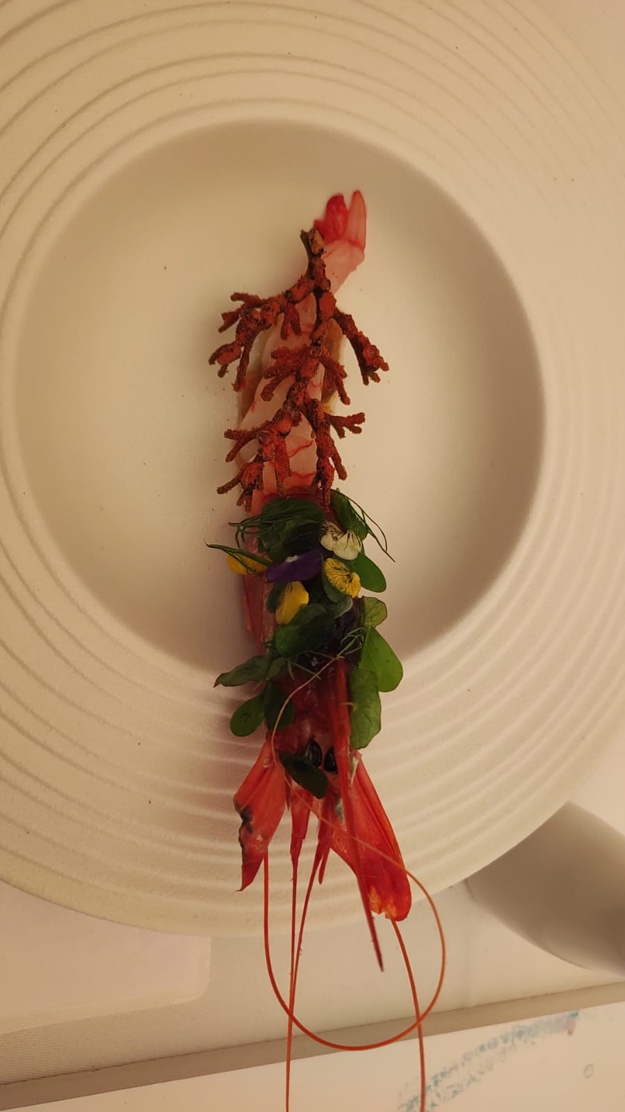 Tercer premio, &#039;Gamba de Dénia en grasa madurada, inyectada de frutos rojos fermentados, coral de arroz y agua herbácea yodada&#039;.