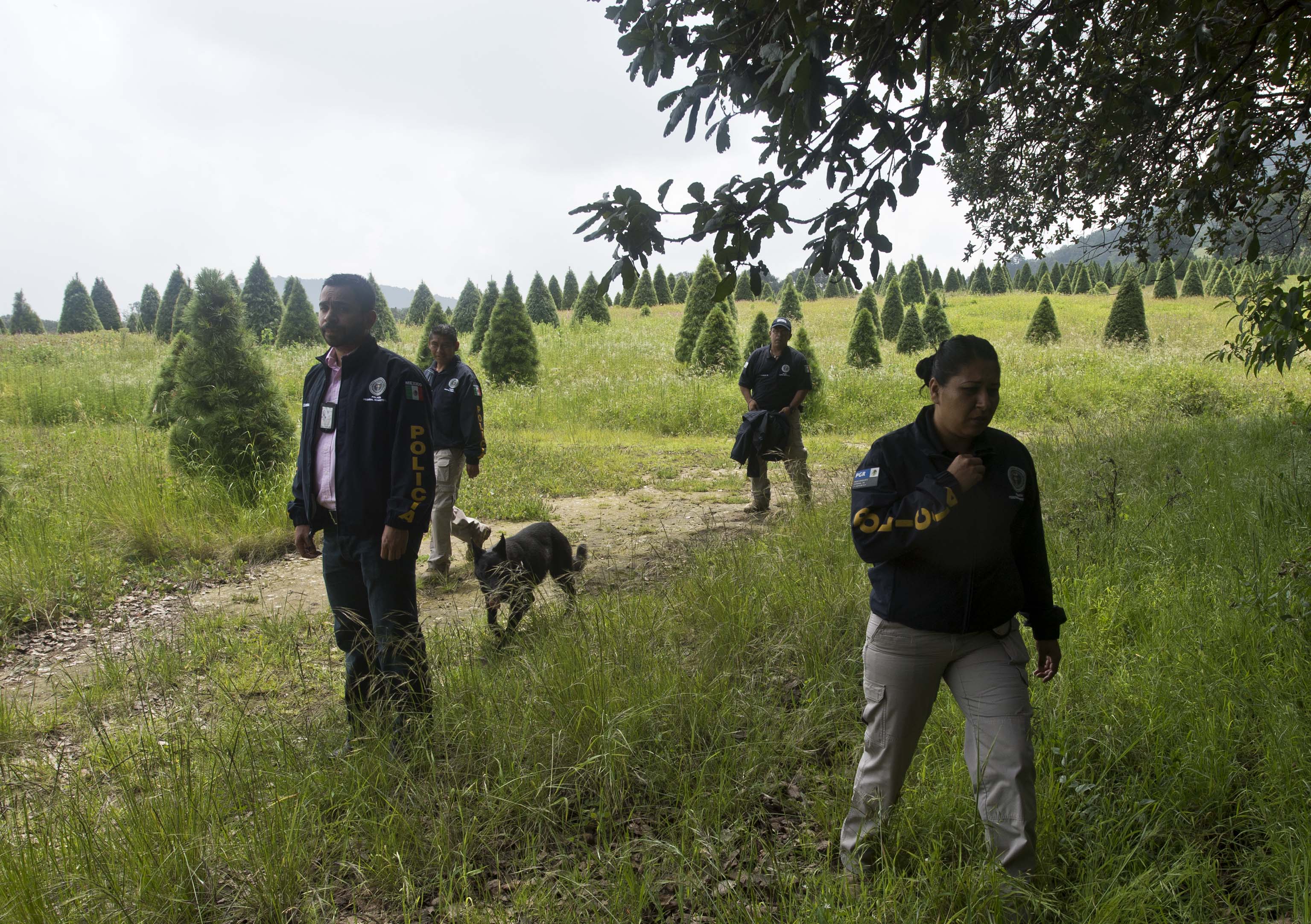 La Policía mexicana busca pistas en las afueras de Tlalmanalco, a 30 km de México capital tras el hallazgo de varios cuerpos.