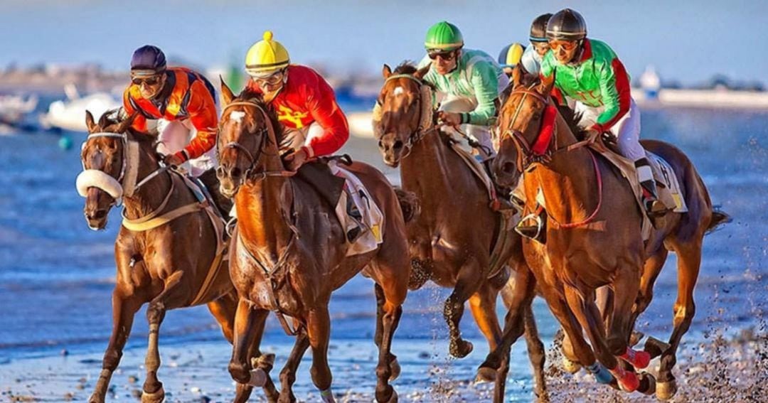 Imagen de las carreras de caballos celebradas el año pasado 