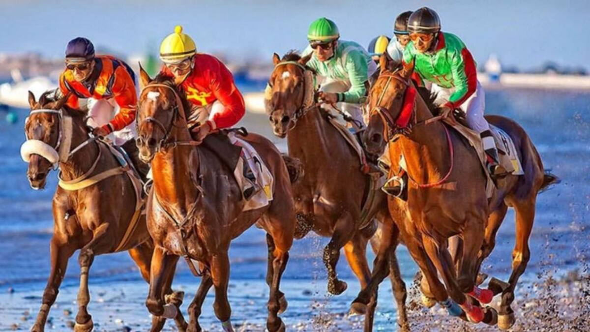 Sanlúcar baraja "alternativas" en la programación de las Carreras de Caballos