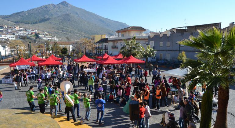 Feria de Arte y Creación Joven en Pinos Puente(Granada)