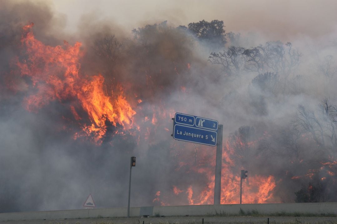 Imatge de l'incendi del 2012