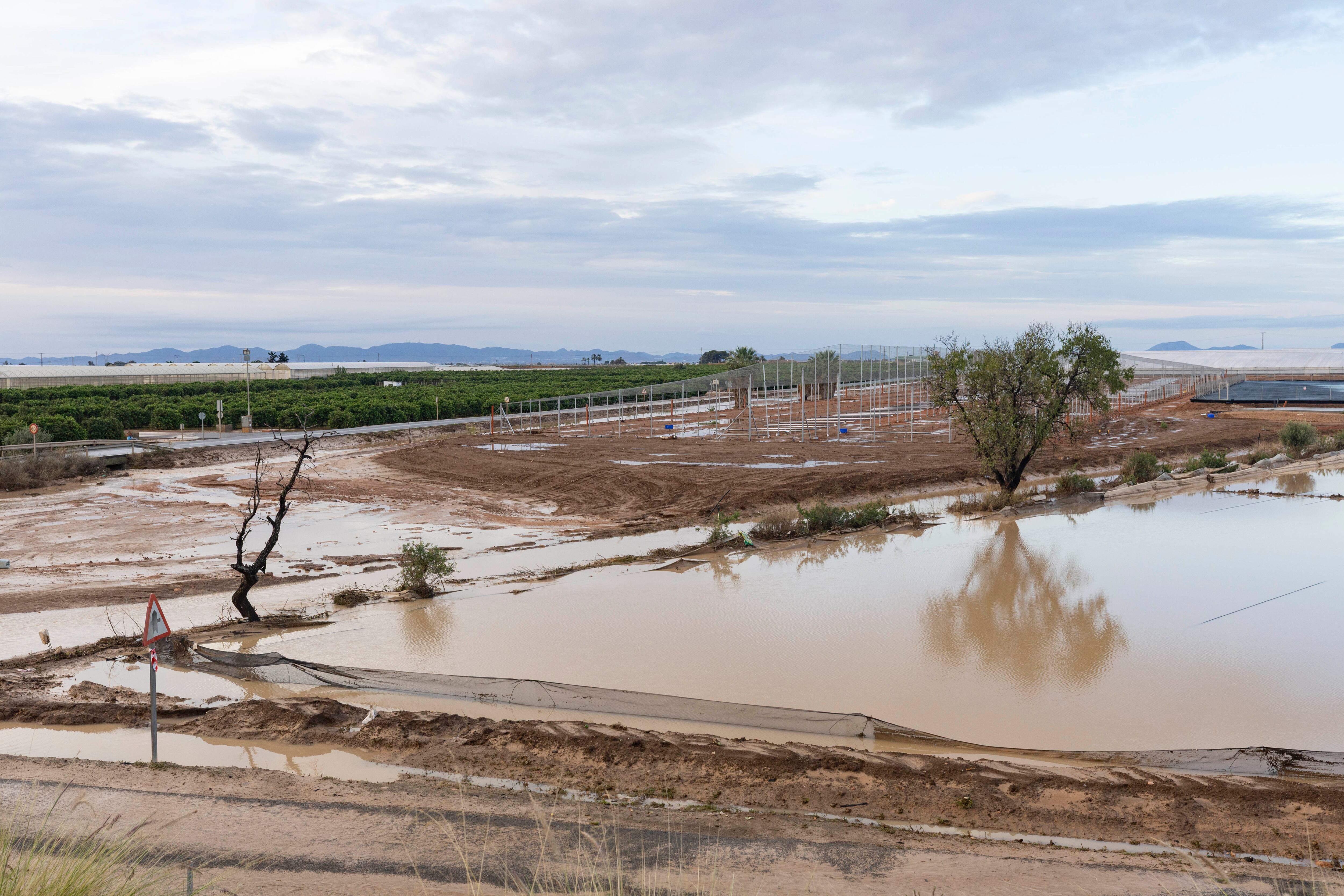 SAN JAVIER, MURCIA, 11/10/2025.- Campos inundados debido a las fuertes lluvias caídas la pasada noche en el municipio de San Javier. La Comunidad Autónoma de Murcia, atendiendo a la petición del alcalde de Los Alcázares, Mario Pérez, ha comunicado que ya no es necesaria la presencia de la Unidad Militar de Emergencias en la población. El presidente de Murcia, Fernando López Miras, ha informado en su cuenta de la red X de esta circunstancia y ha agradecido a los efectivos militares su colaboración y disposición a ayudar en las tareas de limpieza de Los Alcázares. EFE/Marcial Guillén
