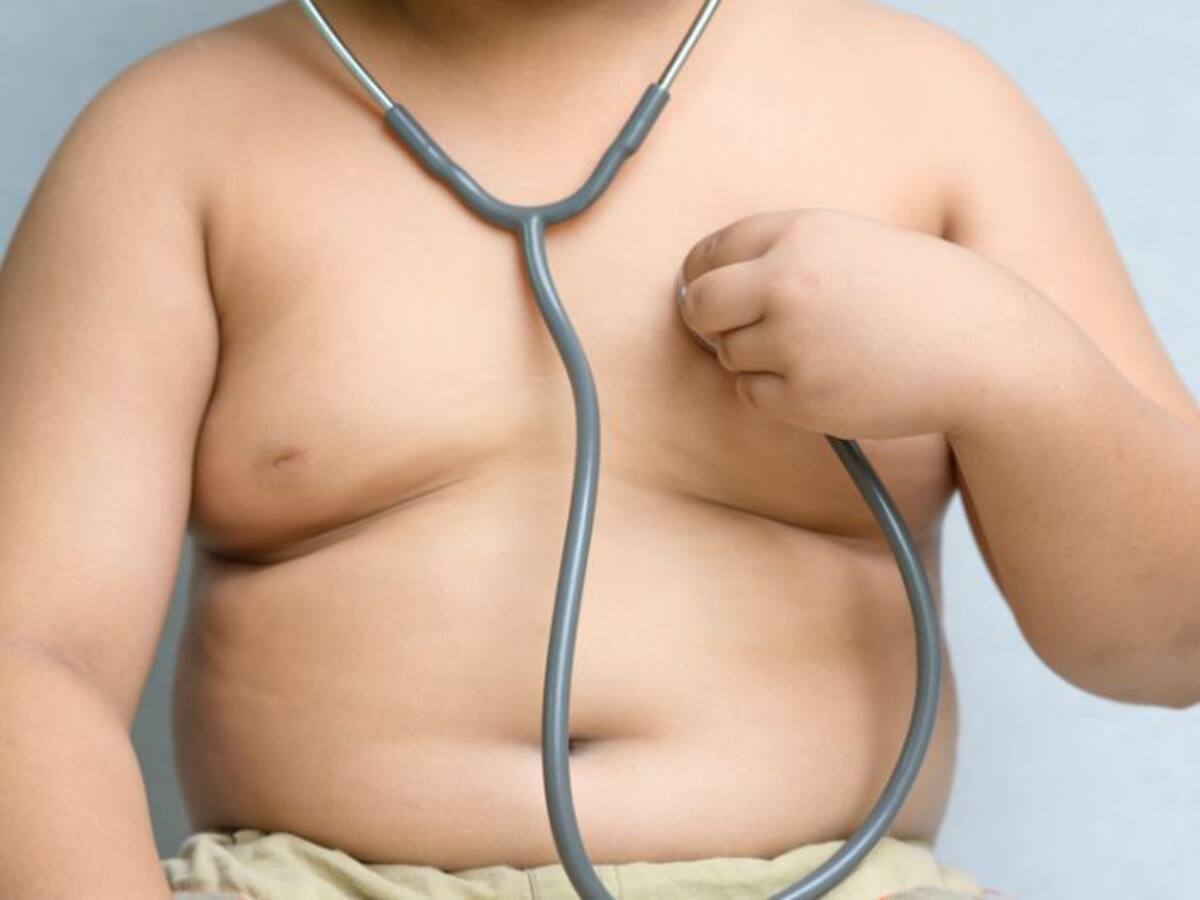 Uno de cada tres niños murcianos es obeso