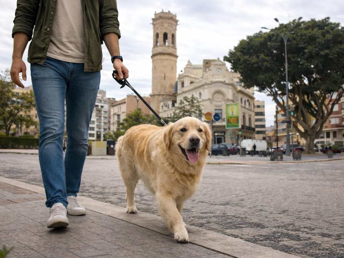 Burriana pondrá en marcha un censo genético para la identificación por ADN de las heces caninas