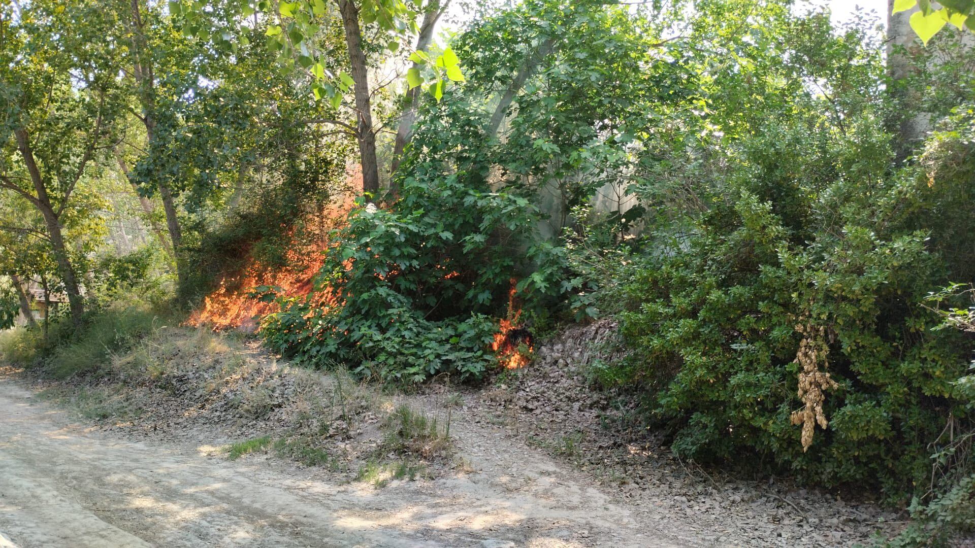 Las llamas queman parte de la vegetación en la zona del Racó de Sant Bonaventura en Alcoy.