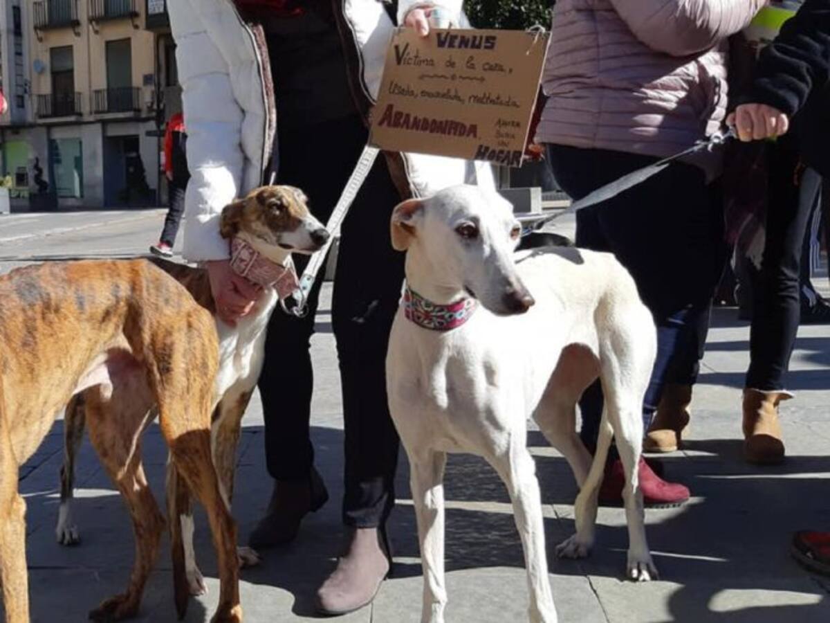 Jaén se suma a las manifestaciones contra la caza