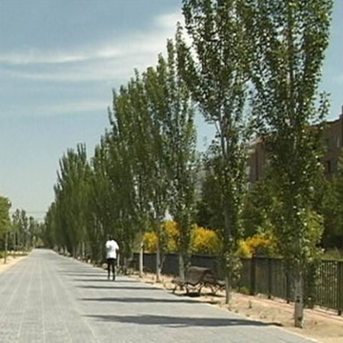 Alcobendas aprueba crear un estanque con embarcadero en el Arroyo de la Vega