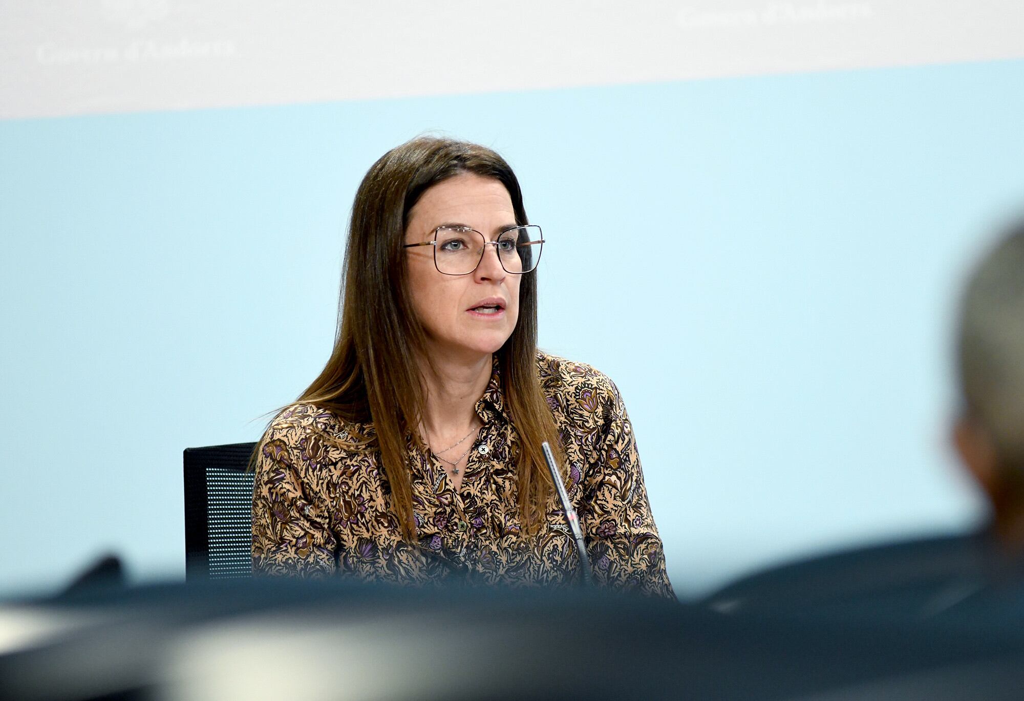 Sílvia Riva durant la compareixença d'avui.