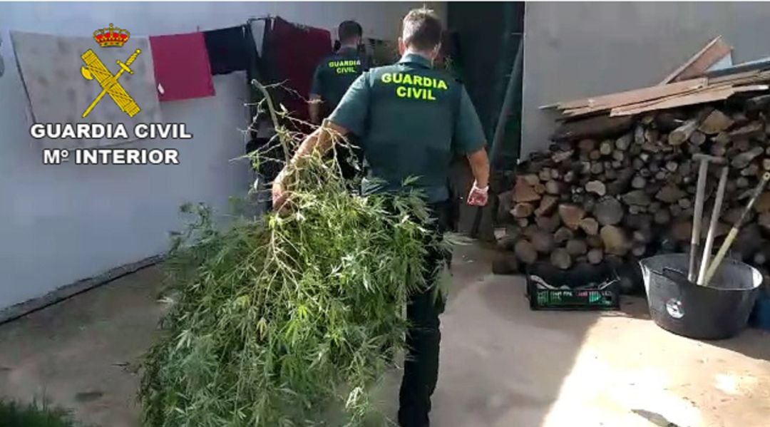 Se han aprehendido 698 kilos de marihuana