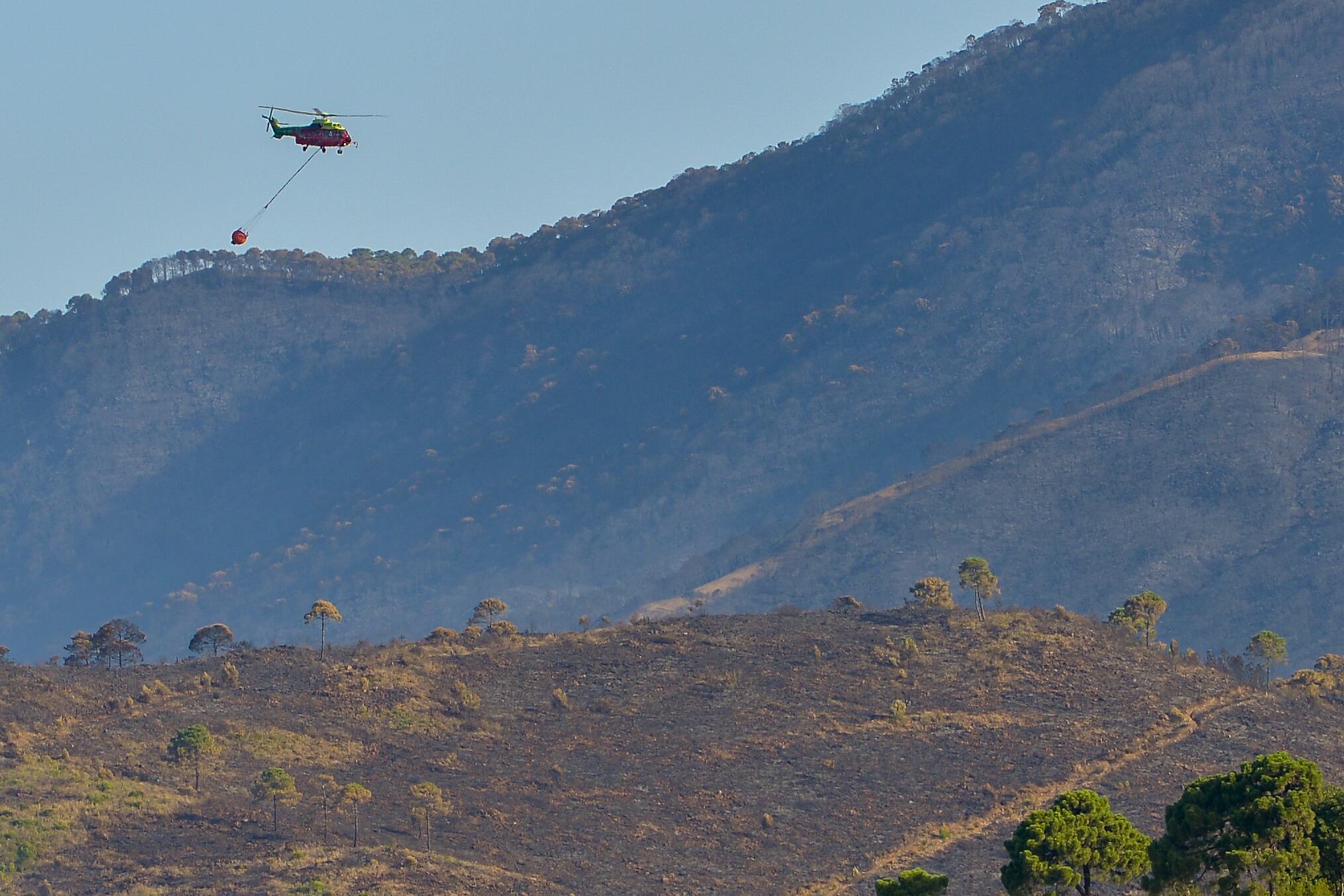 GRAF062. PUJERRA (MÁLAGA), 11/06/2022.- Un helicóptero sobrevuela la zona afectada tras el incendio acontecido ayer en Pujerra (Málaga), que obligó a desalojar a unas 2.000 personas y que afectó a unas 3.000 hectáreas, este sábado desde la zona residencial de Monte Mayor. EFE/Antonio Paz
