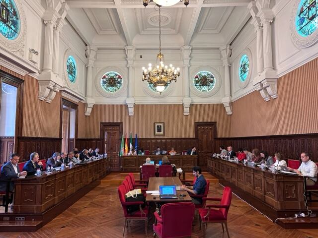 Pleno de la Diputación Provincial.