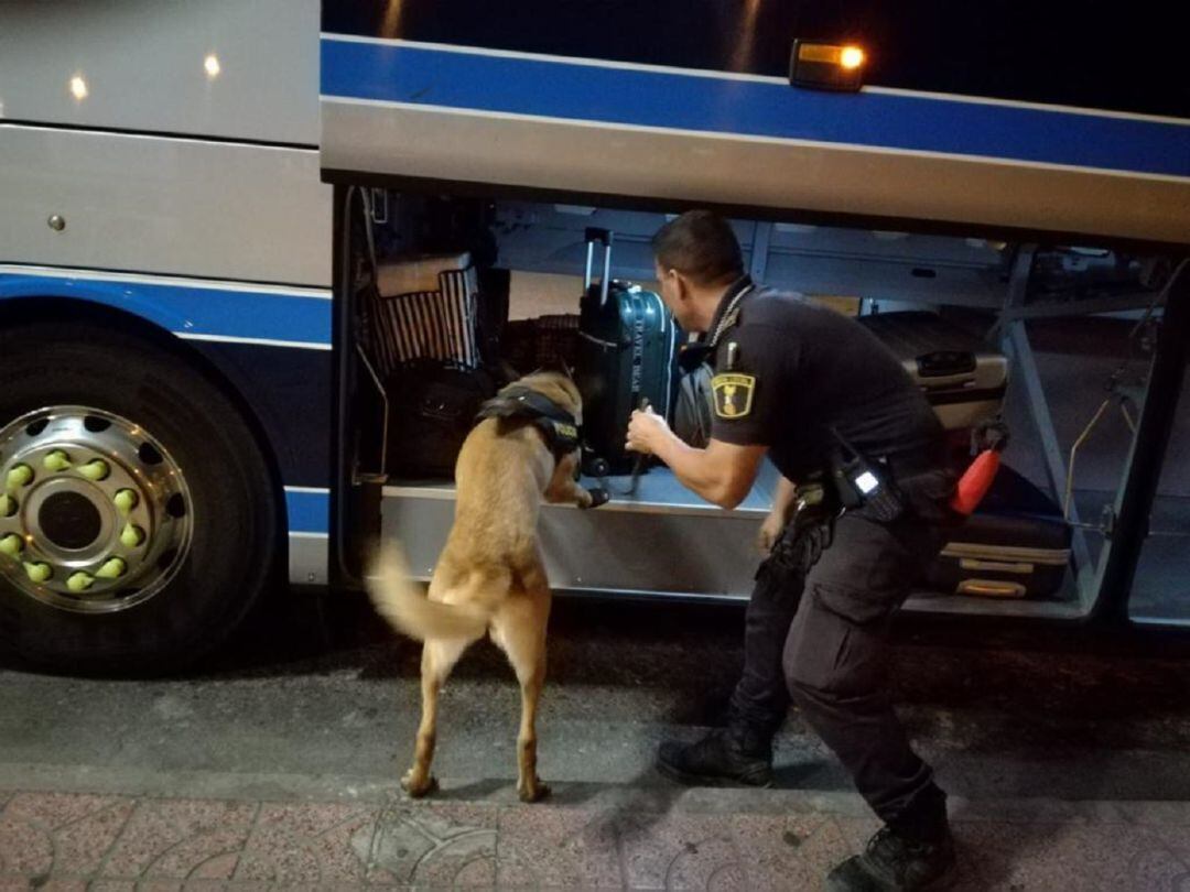 Unidad Canina en un operativo en la estación de autobuses