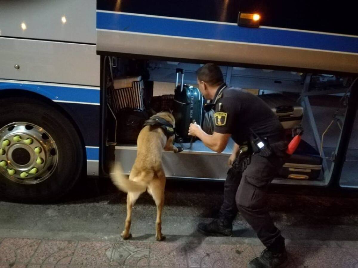 La Unidad Canina de la Policía Local participa en más de 100 controles de drogas y circulación