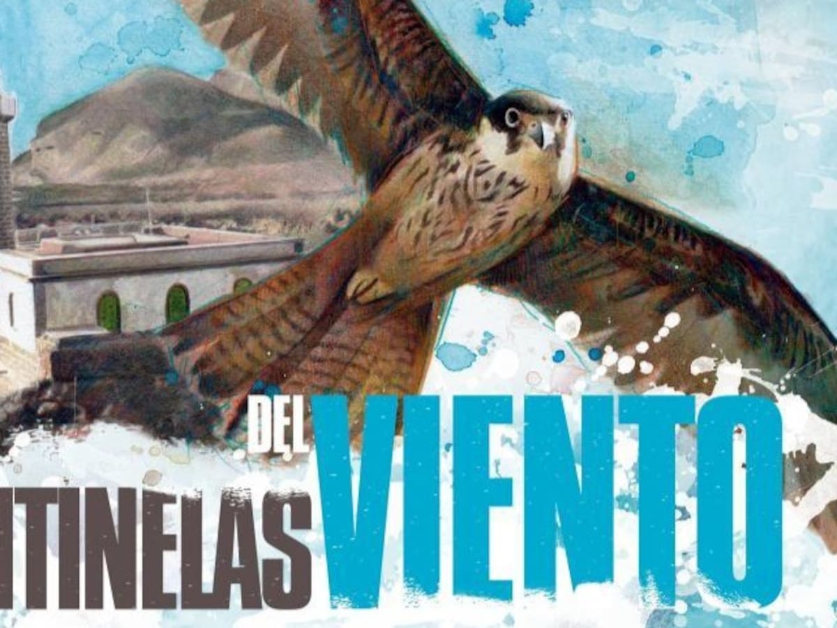 Un documental sobre los halcones protagoniza este lunes las jornadas del Guardabosques