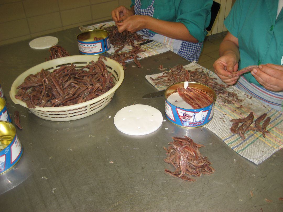 Elaboración artesanal de la anchoa.