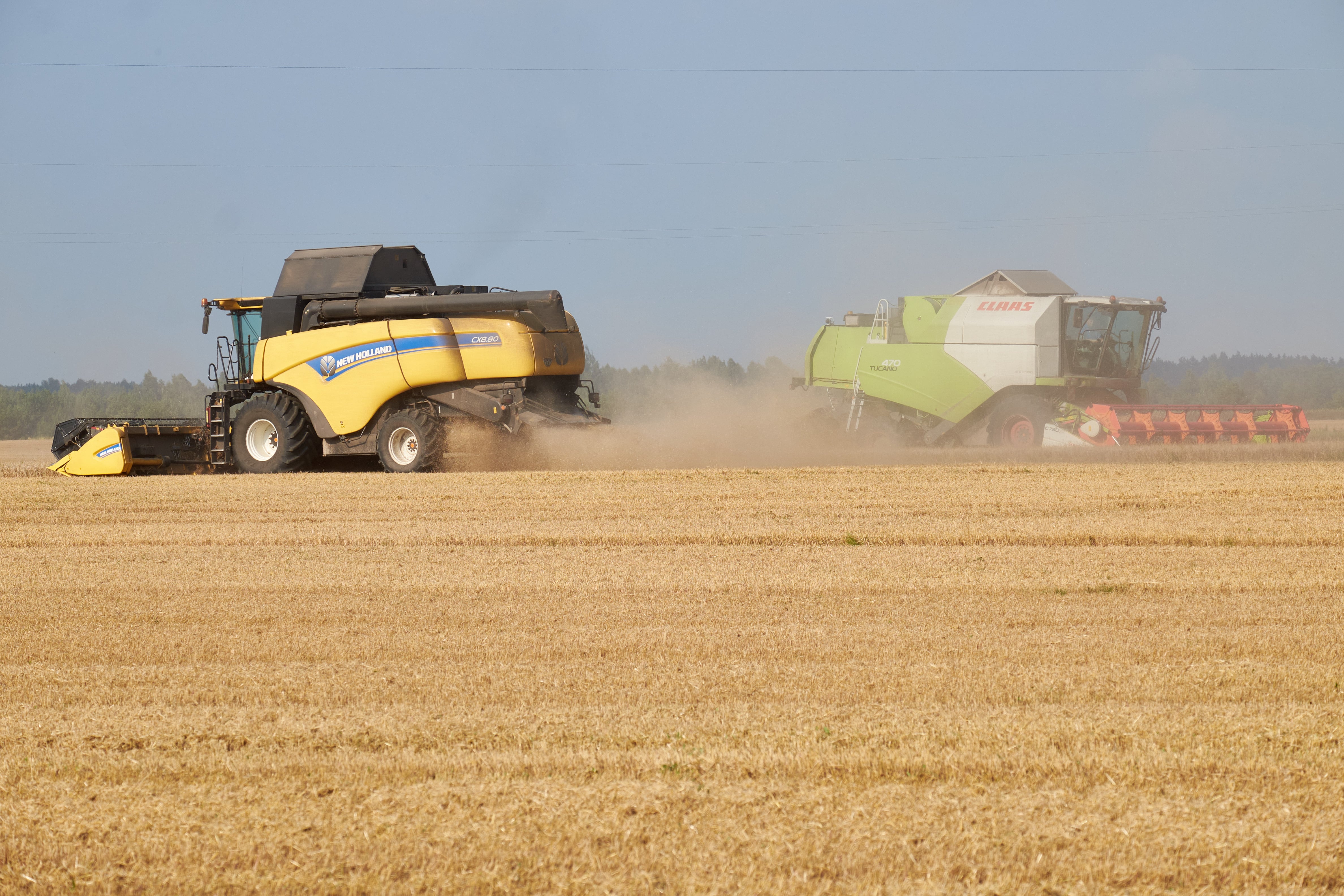 Agricultores trabajando en la región ucraniana de Chernígov, cerca de la frontera con Rusia, el pasado 30 de agosto