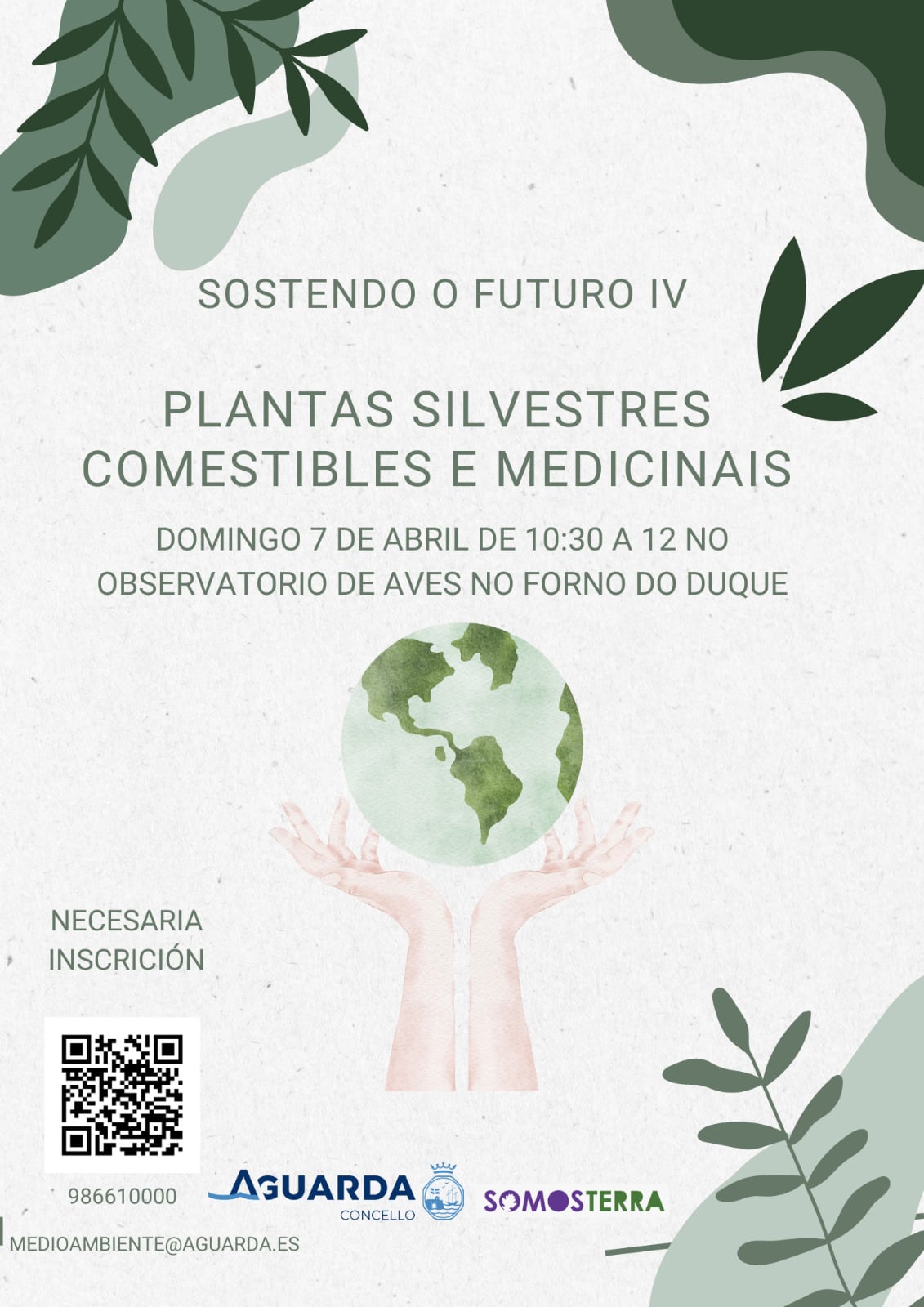 Obradoiro en A Guarda sobre Plantas Silvestres