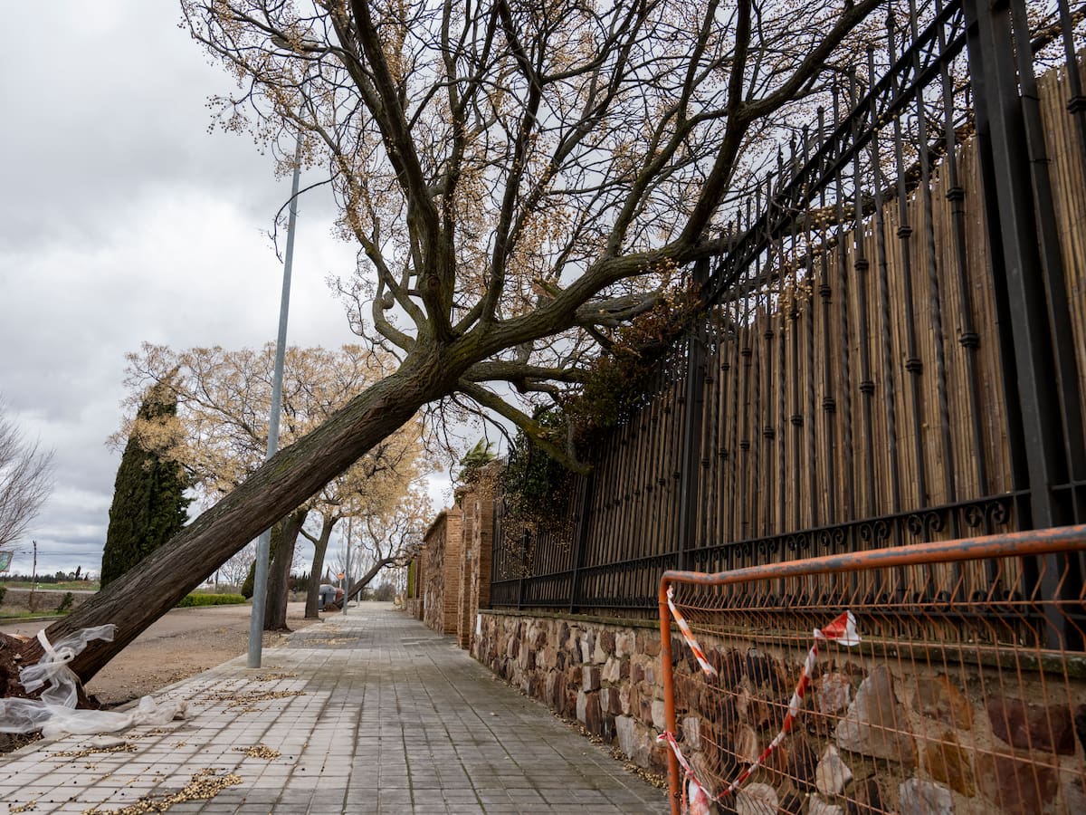AEMET pide precaución ante las rachas de viento "huracanadas" que se esperan para este miércoles por la tarde