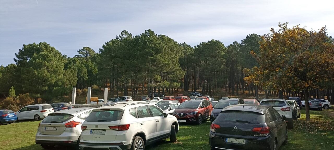 Algunos de los vehículos estacionados en el aparcamiento de El Castañar