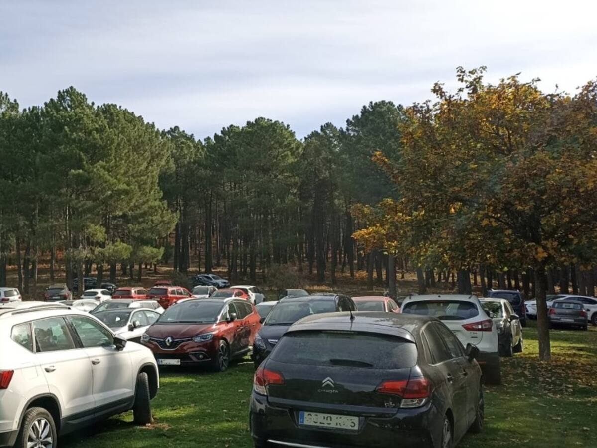 La plataforma 'Salvemos El Castañar' denuncia falta de vigilancia en el interior del espacio natural