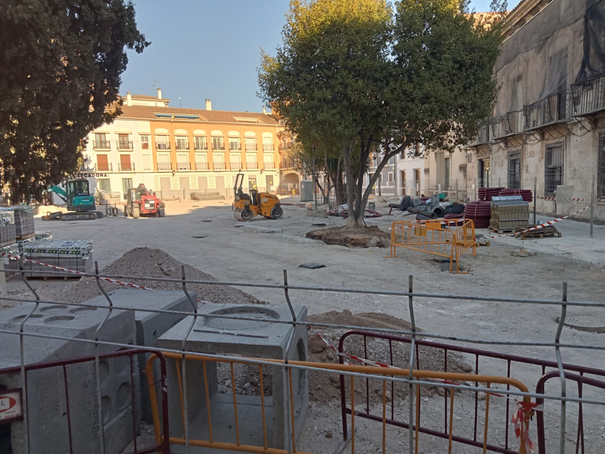 Arboles talados en la Plaza