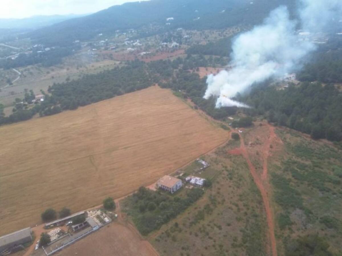 17 conatos de incendios se contabilizan esta temporada en las Pitiusas