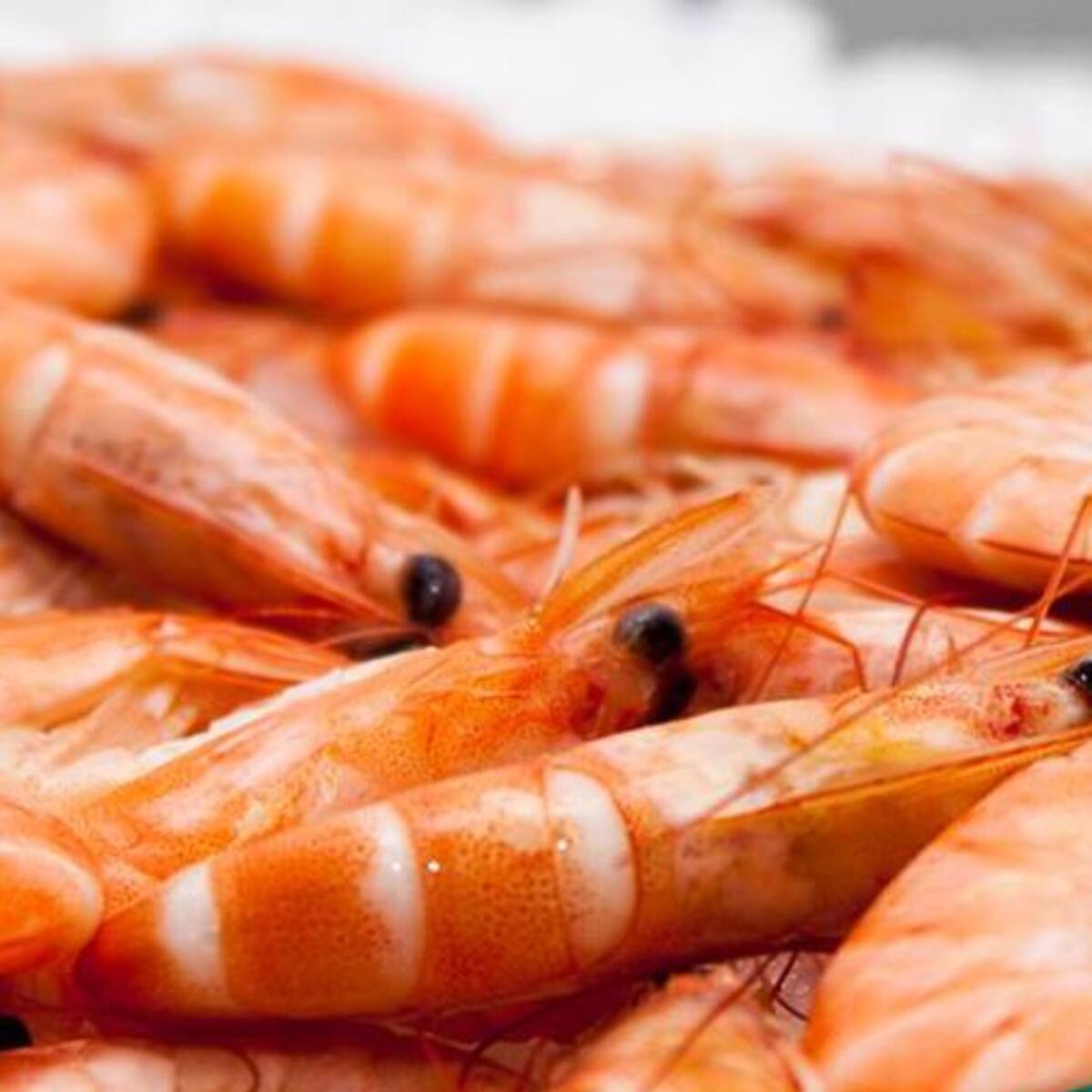 Mariscos con sabor del sur