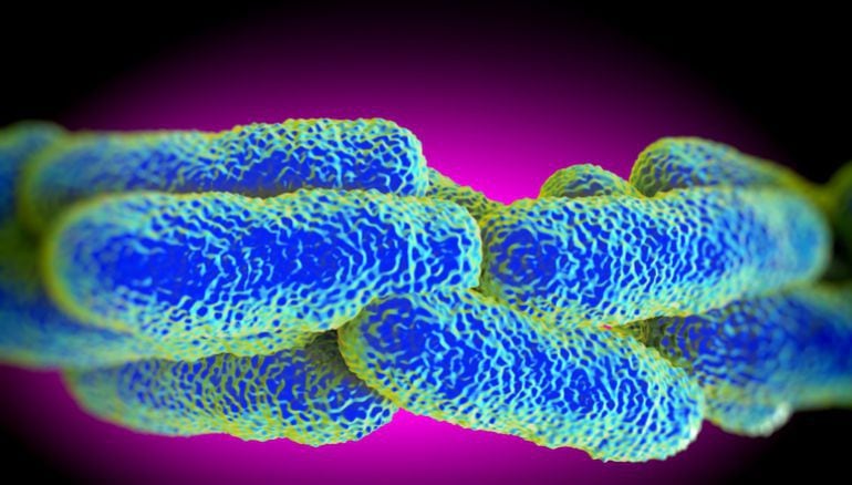 Ilustración de la bacteria &#039;Legionella pneumophila&#039;, causante de la enfermedad.