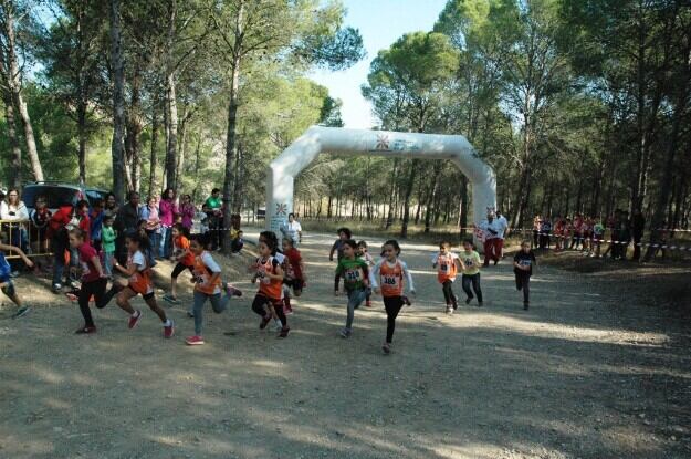 Imagen de archivo: Cross Bajo Cinca