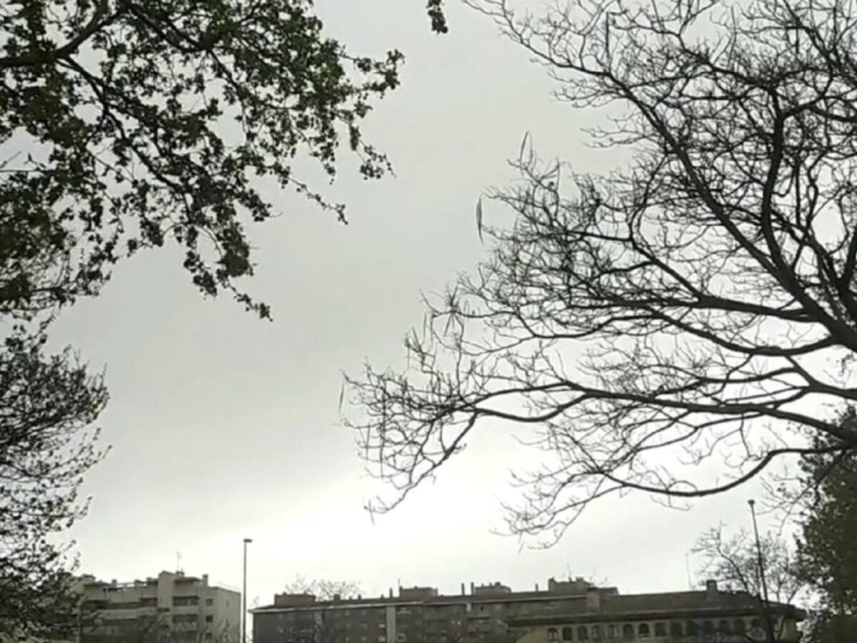 Confinamiento. Capítulo 12: La vida sigue