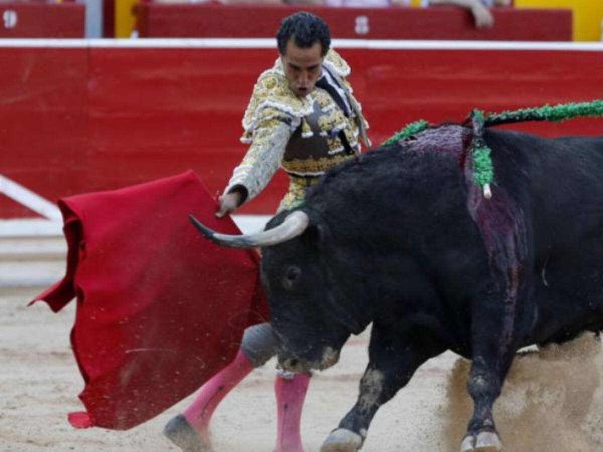 "Parece mentira que no haya corridas de toros en las fiestas"