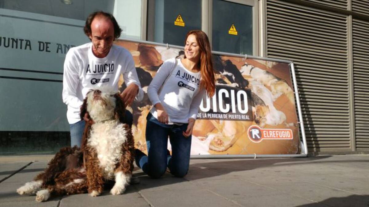 Comienza el juicio a los responsables de la perrera de Puerto Real