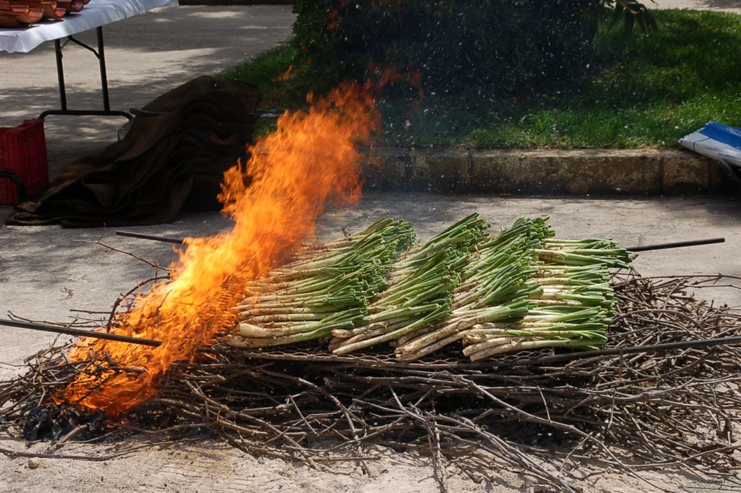 El calçot fill d’una ceba blanca i d’una varietat tardana