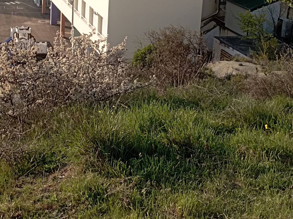 La 1º Comunidad Energética de Sabiñánigo ya genera energía para sus socios